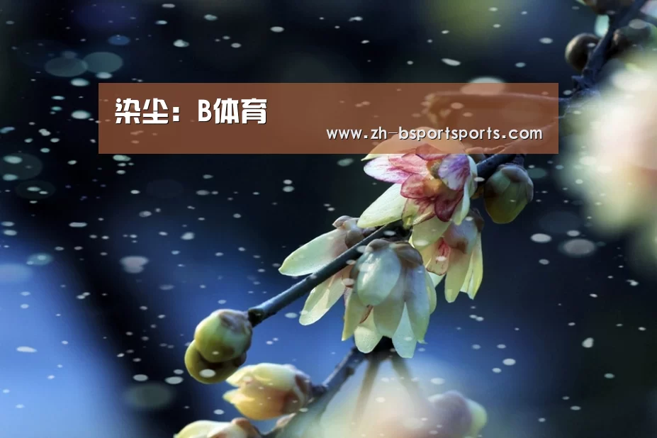 染尘:B体育(图2) B体育