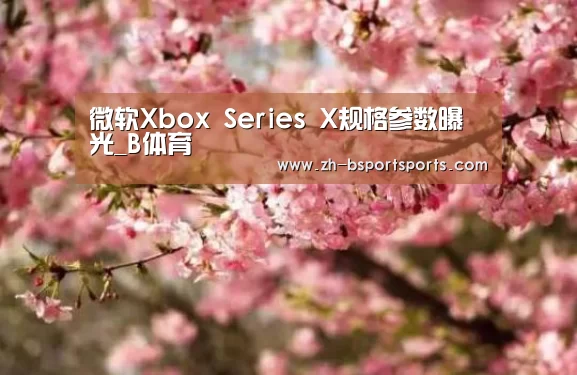 微软Xbox Series X规格参数曝光_B体育